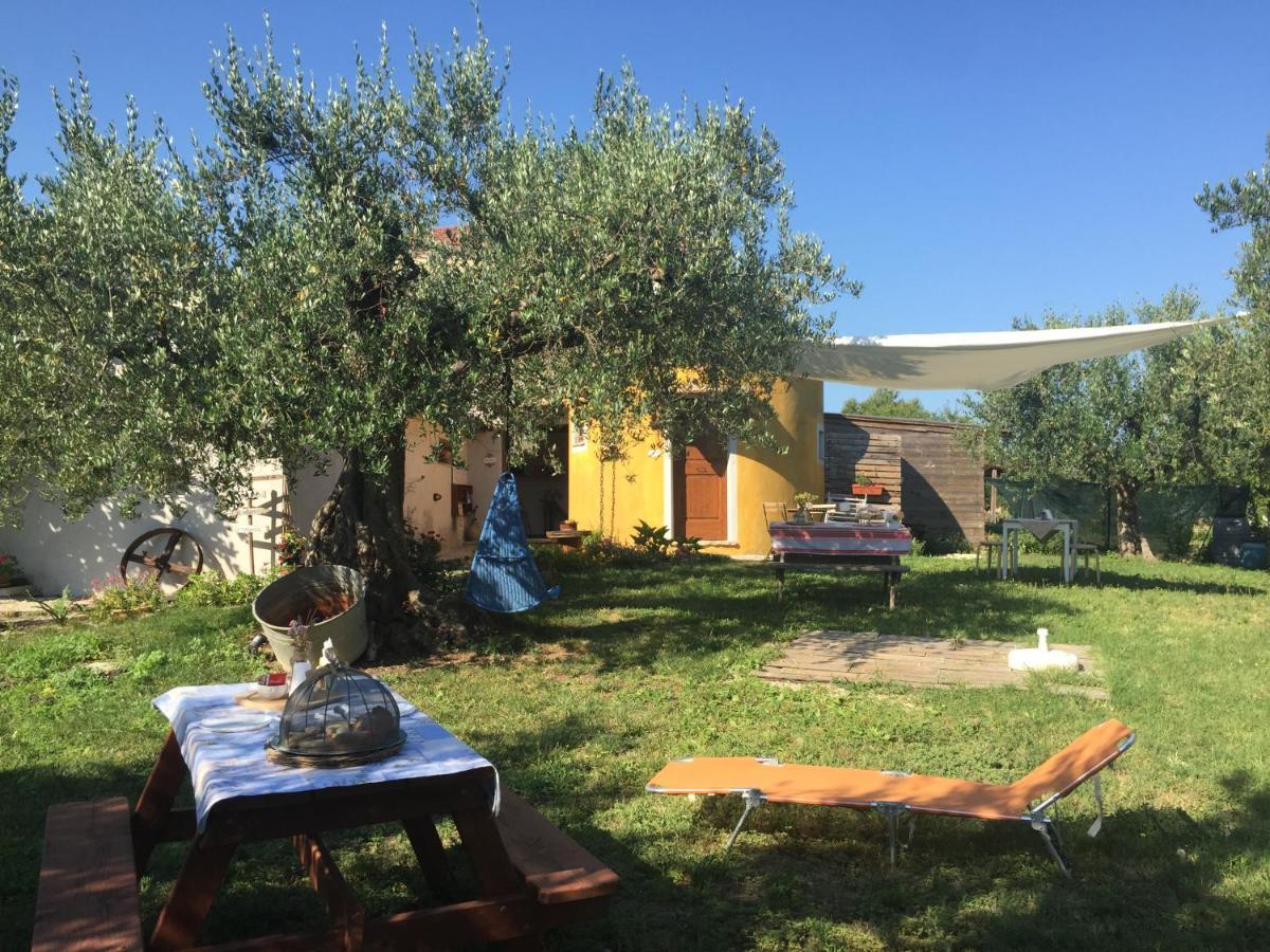 C'Era Una Volta Podere San Giovanni Фоссачезия Экстерьер фото